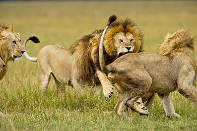 《最终幻想7：重生》奖杯列表曝光 包含难度奖杯