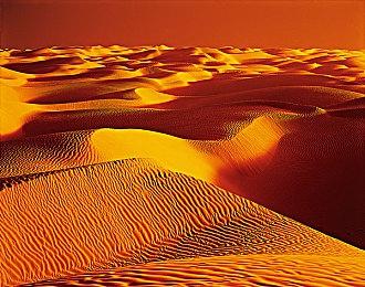 重返2021！《DOTA2》TI12 LGD不Ban猛犸引热议